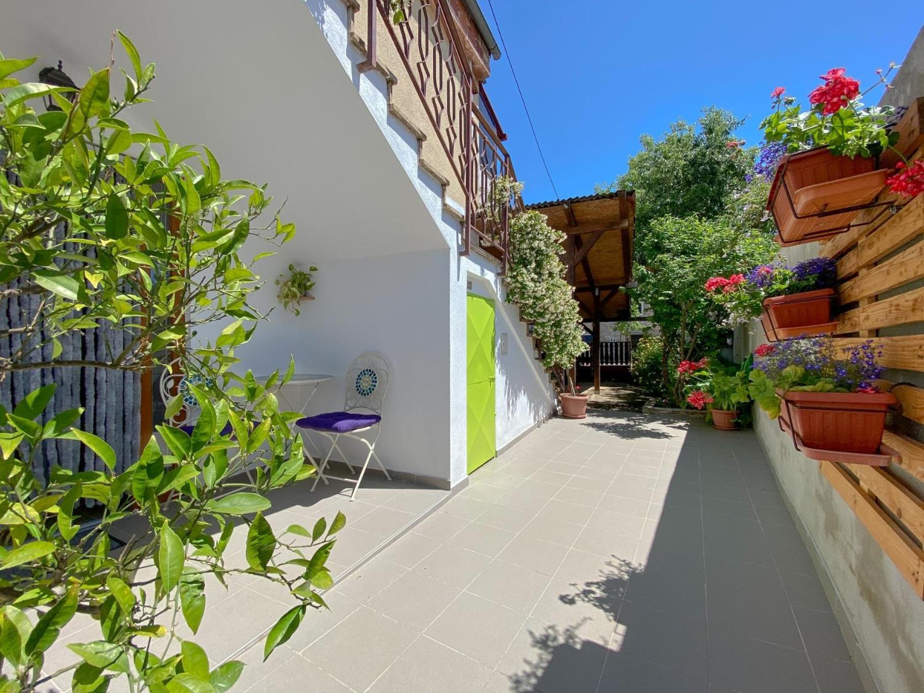 Apartment Tomas Novigrad (Istria)