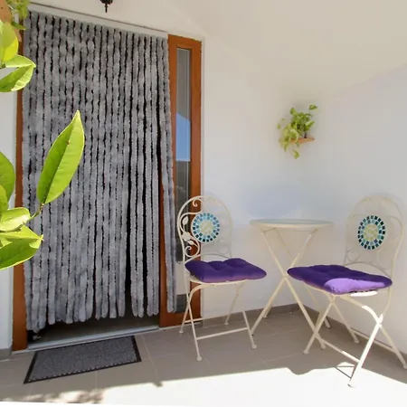 Apartment Tomas Novigrad  Exterior photo