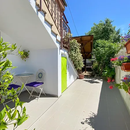 Apartment Tomas Novigrad  Exterior photo