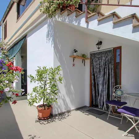 Apartment Tomas Novigrad  Exterior photo