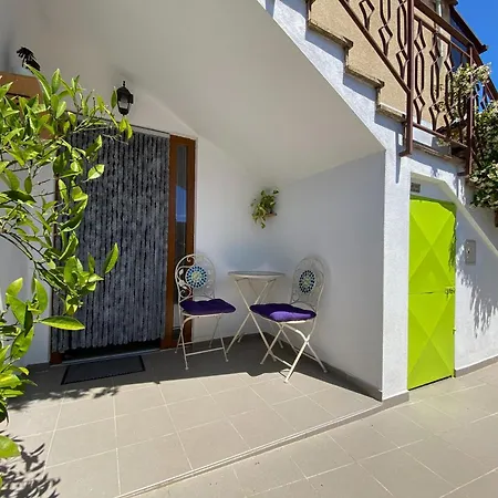 Apartment Tomas Novigrad  Exterior photo